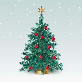 Weihnachtsgruß des SV